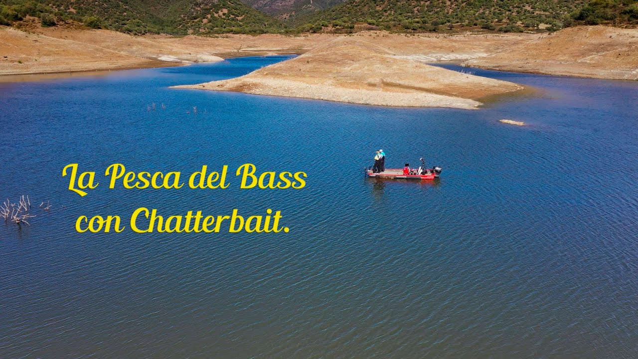 La Pesca del Bass con Chatterbait en Otoño.