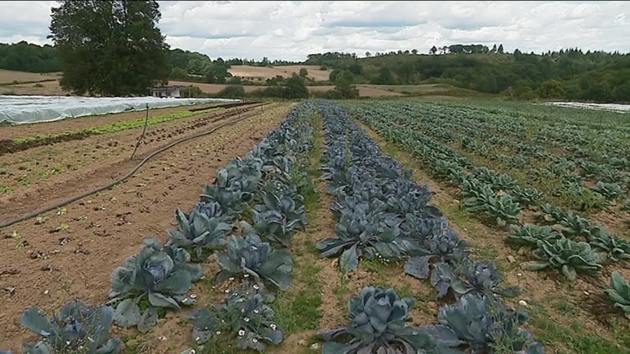 La ferme collective Bio de la Tournerie : un mod&egrave;le innovant
