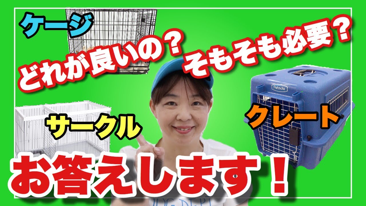【犬　サークルとケージとクレート】どれを使う？そもそも使わない？ドッグトレーナーが解説します！