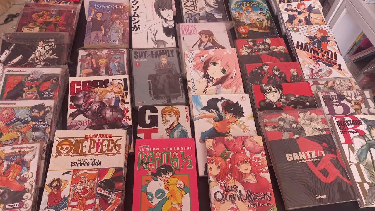 Compras Manga Febrero 2024 y purga de la colección