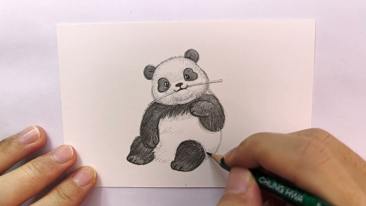 Draw panda Day 132｜pencil sketch
