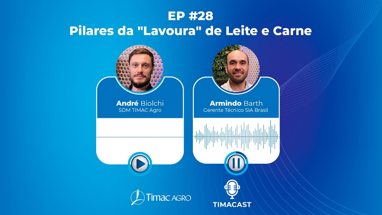TIMACast - Pilares da 