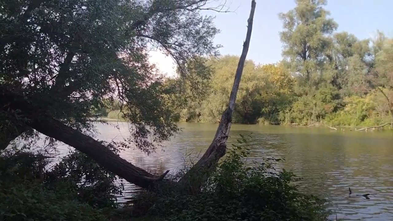 Vadvizi Horgászat. Rába folyó partján.
