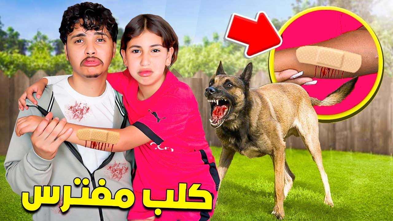 كارتة…‼️ رانيا تعضات من كلب مفترس 😨💔 يوسف كان غدي يحماق 😢🥹