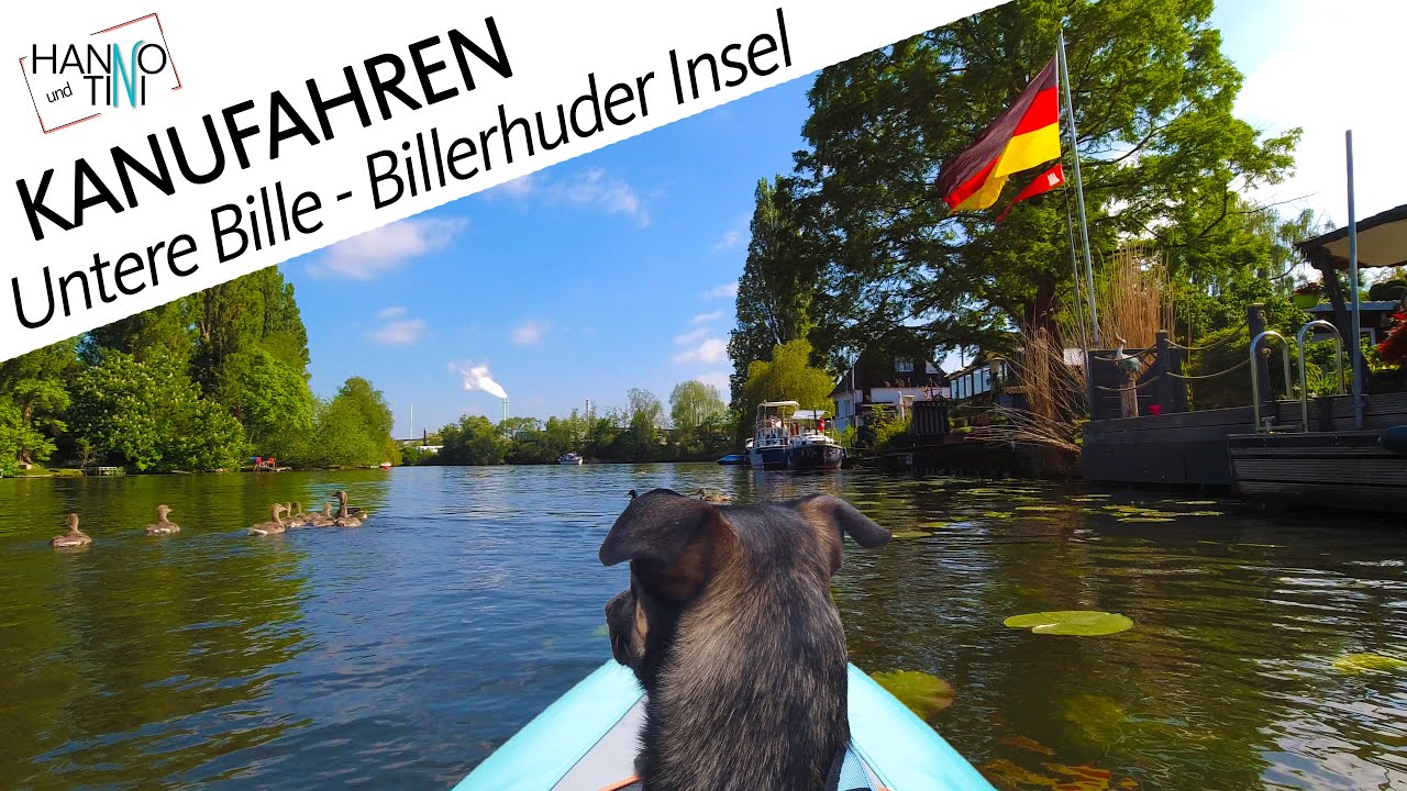 Paddeln um die Billerhuder Insel 🛶 | Bille-Kanutour in Hamburg #6 | Hanno und Tini