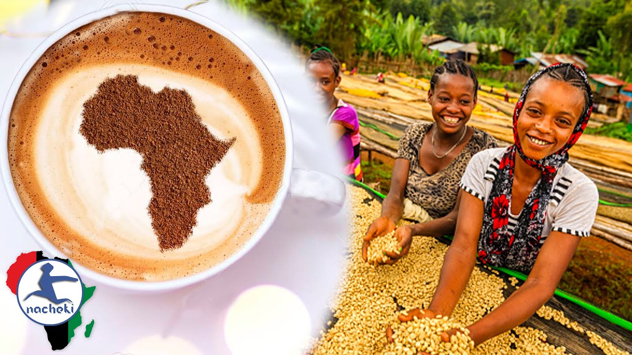 Top 10 African Countries with the Best Coffee in the World