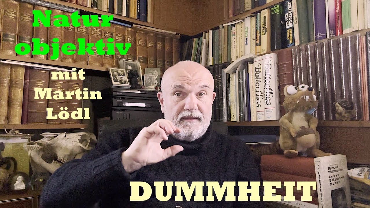 Die Gesetze der Dummheit