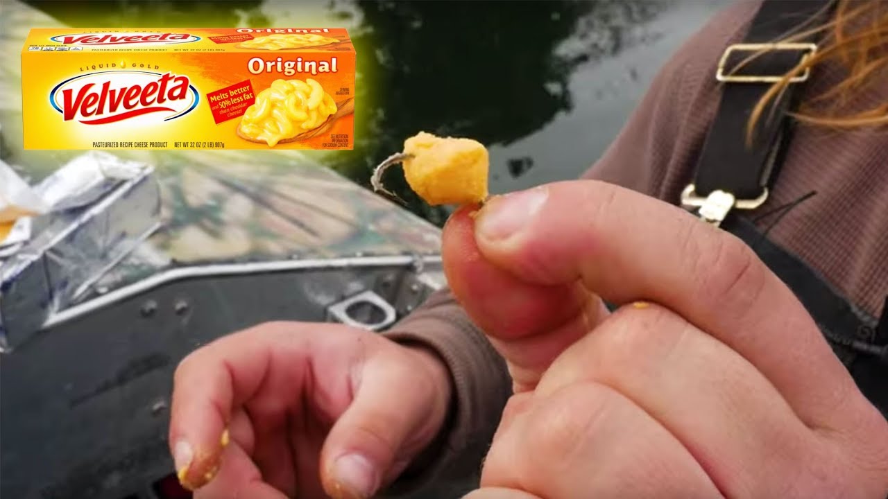ПОЙМИТЕ БОЛЬШЕ форели, чем ваши друзья! Сыр «Вельвита» из продуктового магазина.