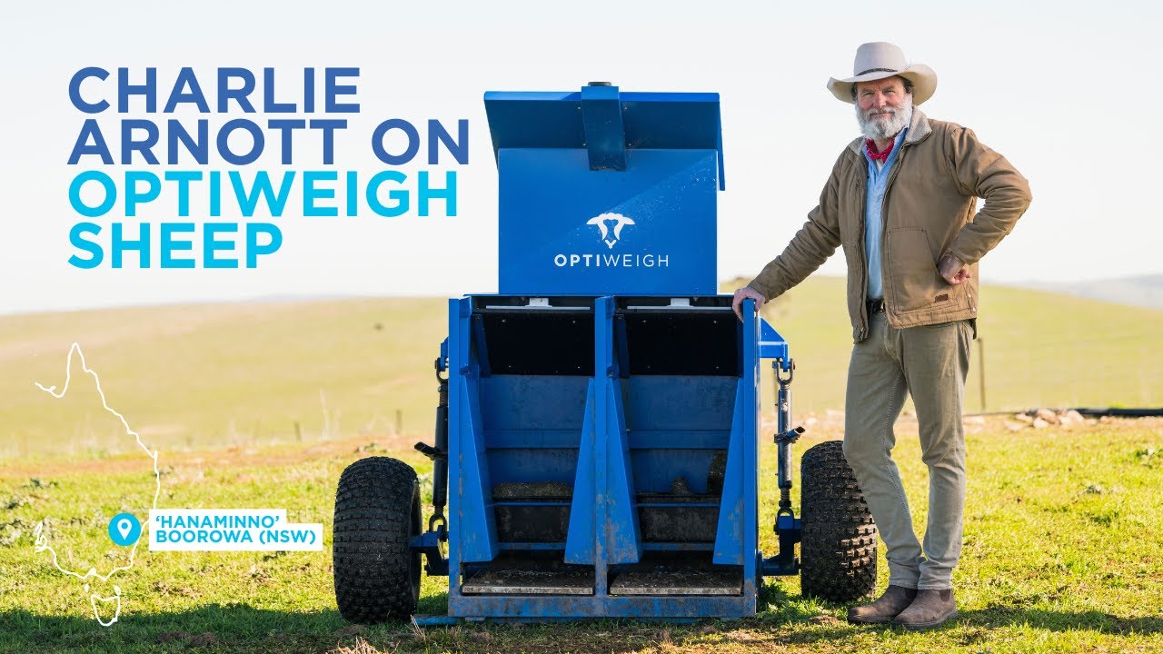 Charlie Arnott talks about using in paddock weighing with Optiweigh Sheep to improve profitability