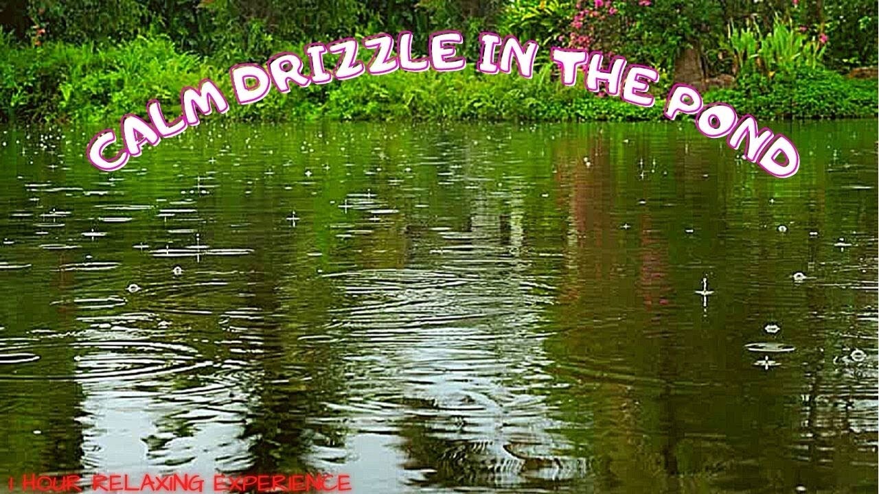 Drizzle | Light Drizzle | Drizzle Pour | Drizzle Sound | Calm Drizzle | Drizzle Sounds | Drizzling
