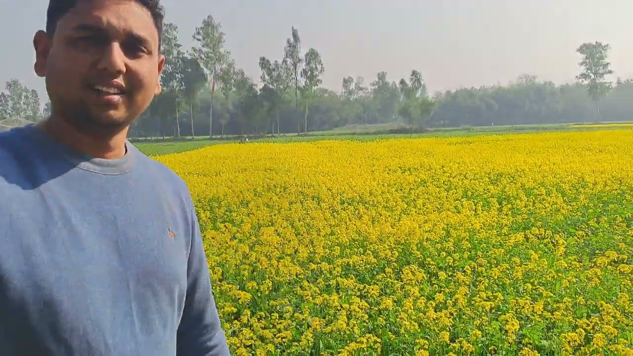 সরিষার ক্ষেতে মজার কথোপকথন 