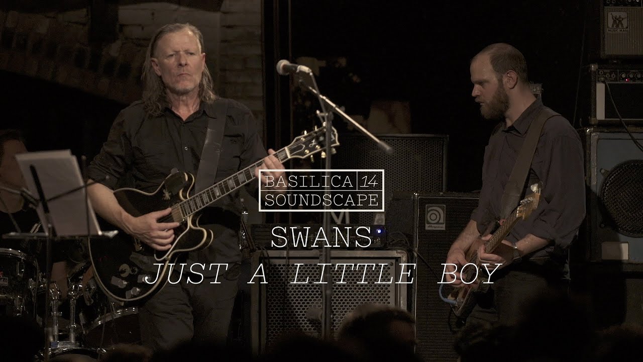 Swans perform 