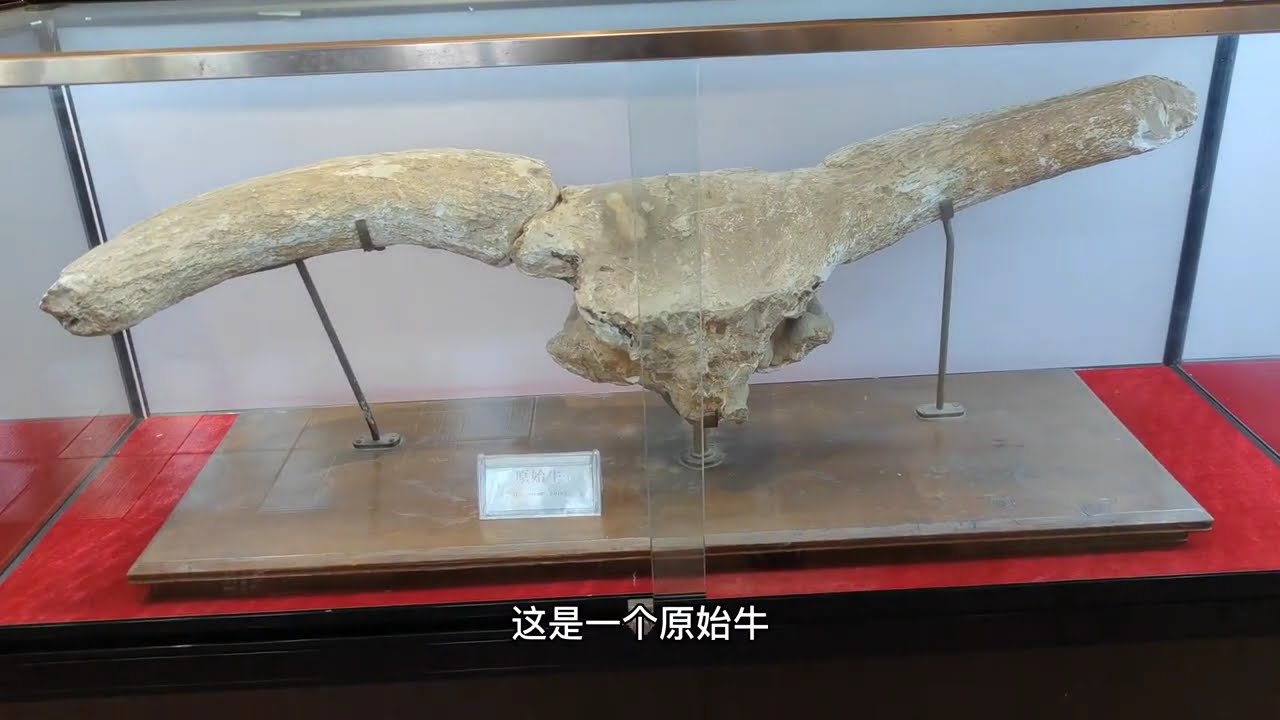 徒步公王岭看中国最早直立行走的蓝田猿人遗址，赏宁静的乡村美景，登高望远已是冬季#文物保护 #公王岭 #蓝田猿人遗址 #随手拍 #旅游 #旅游推荐官