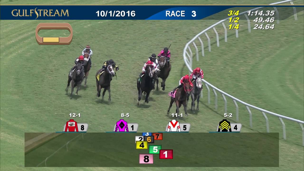 Gulfstream Park Race 3 | October 1, 2016