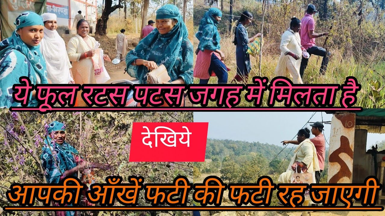 #जिरहुल फूल के चक्कर में हम लोग भरण्डा थाना देख लिए और फूल थोड़ भी लिए /Family Vlog //Amila TOPPO 