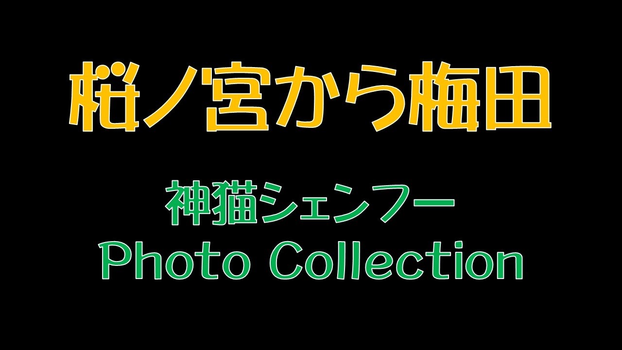 桜ノ宮から梅田　神猫シェンフー　Photo Collection