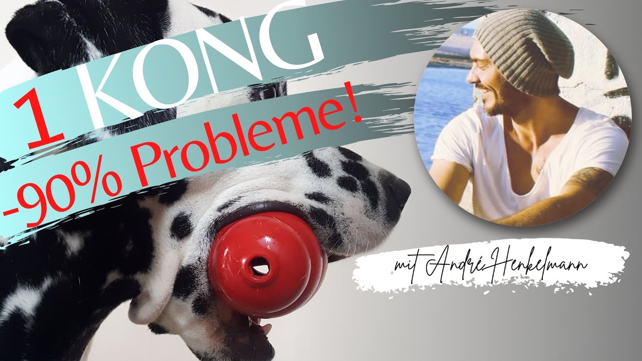 Anleitung zum beliebten Hundespielzeug Kong + Ideen für Füllungen!