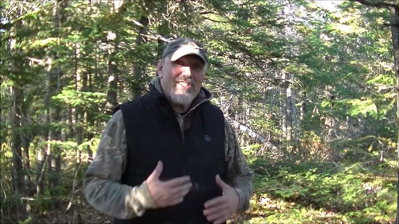 Жилет с подогревом GOKOZY