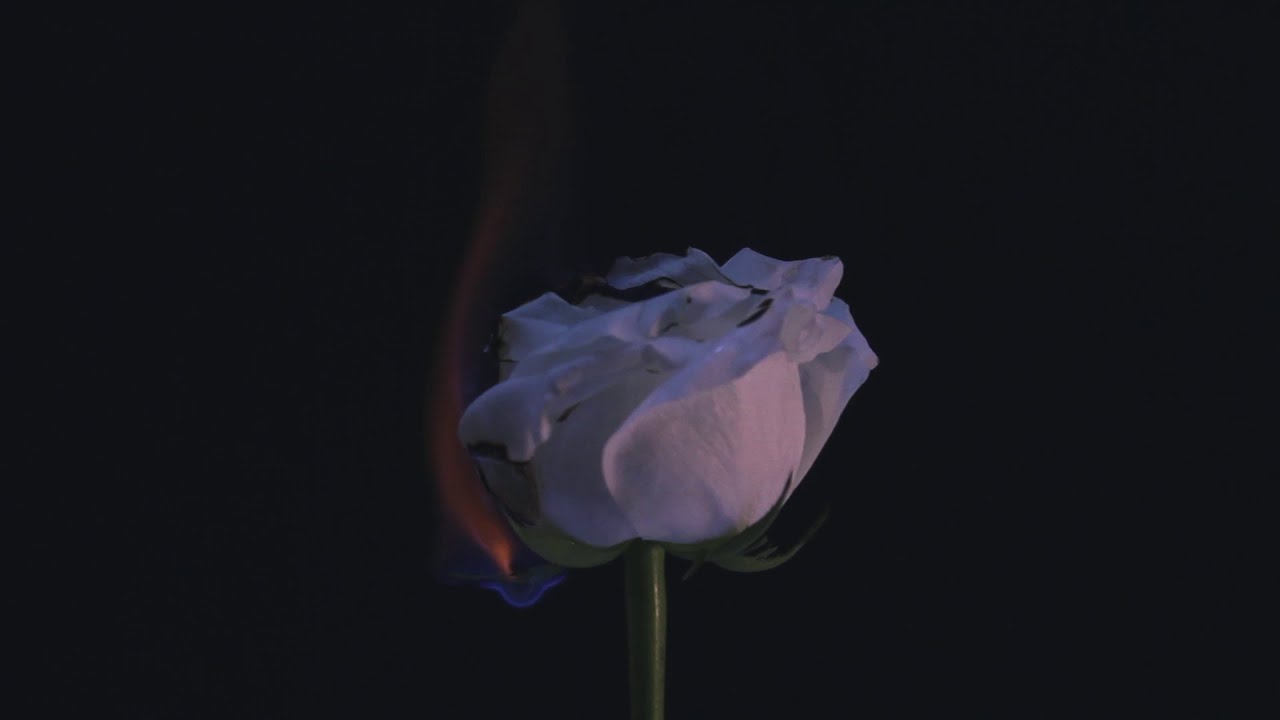 Bolu2 Death - The Unknown (Official Visualizer)