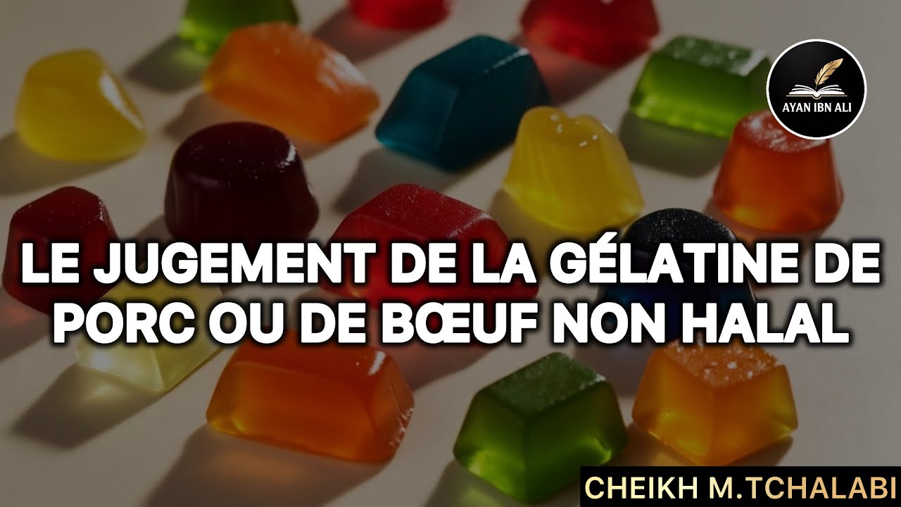 Le jugement de la gélatine de porc ou de bœuf non halal - Cheikh M.Tchalabi