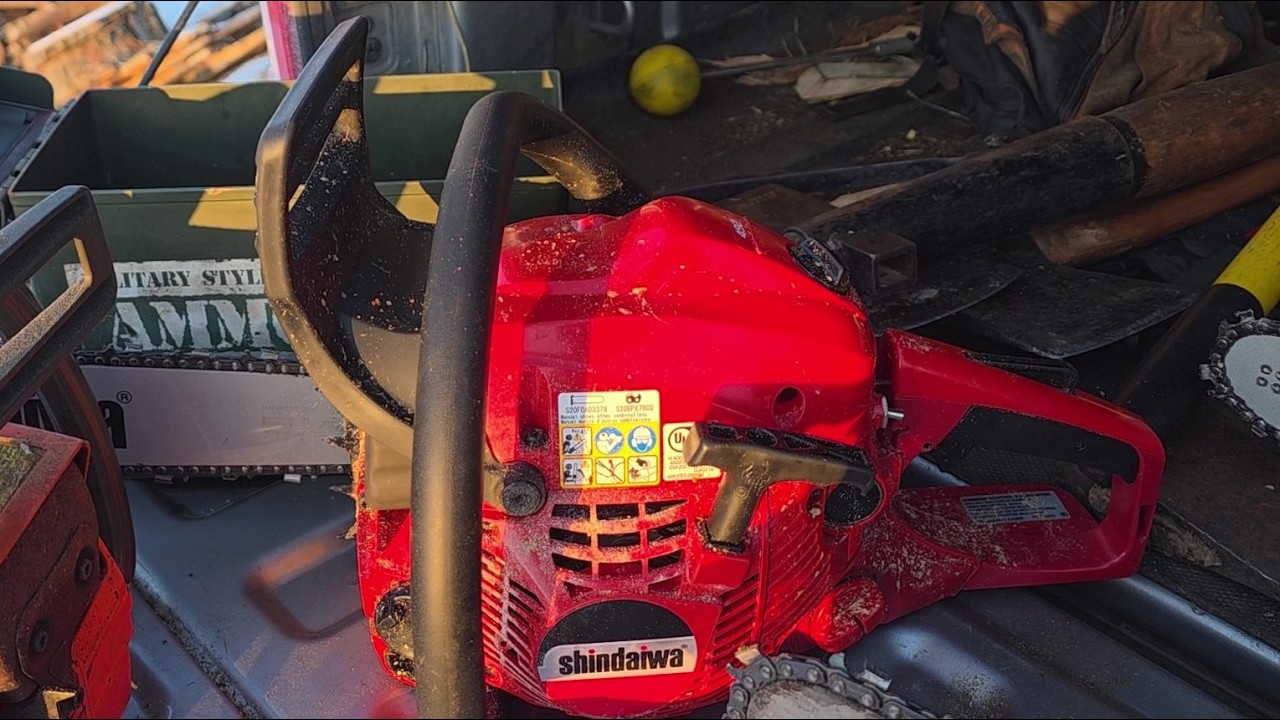 Shindaiwa Field Test & First Impressions. Firewood Saw? What Does That Really Mean :)