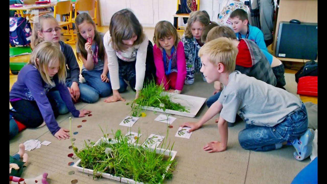 Prvouka 2. ročník, Rozmnožování rostlin