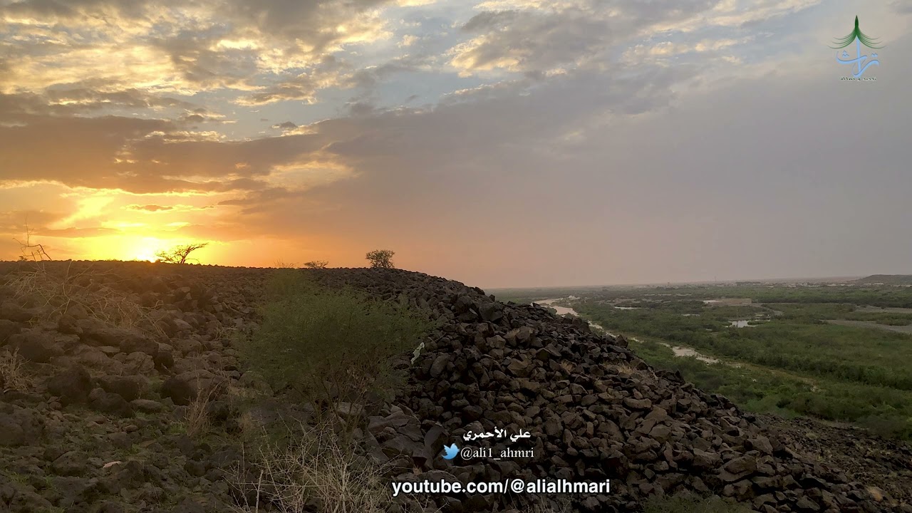 خطوة جنوبية مميزة القحم وبن دوغان🎤