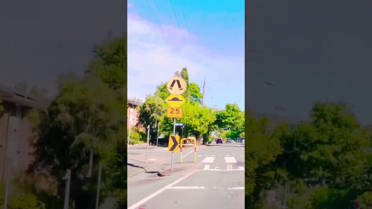 Albert Road Sydney Drive | Local Street Views & Traffic Conditions #travelsydney