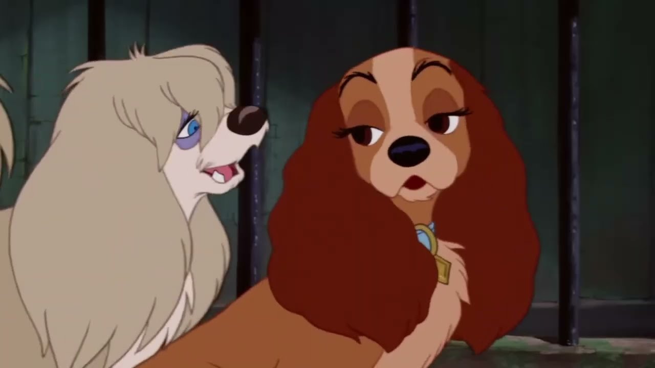 Lady Scene Pack part 7 | Lady and the Tramp