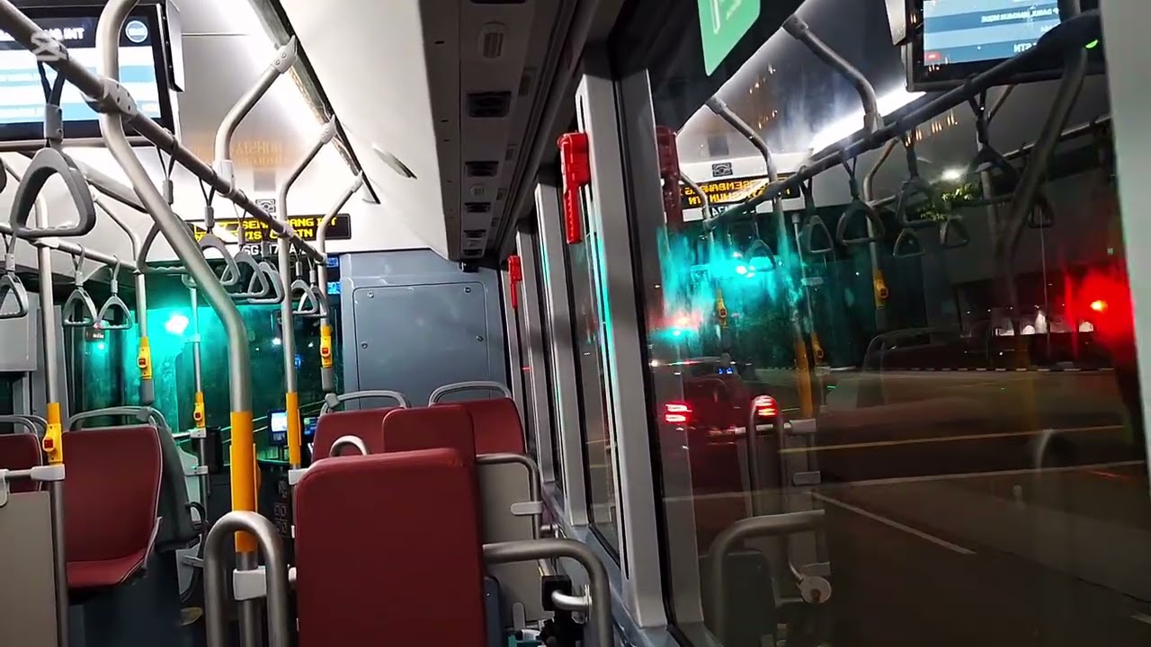 SG3174A Service 117. Last Bus Ride BYD BC12A04 Single Deck (3-Door) Electric Bus. SG❤️BUS. 08/01/26.