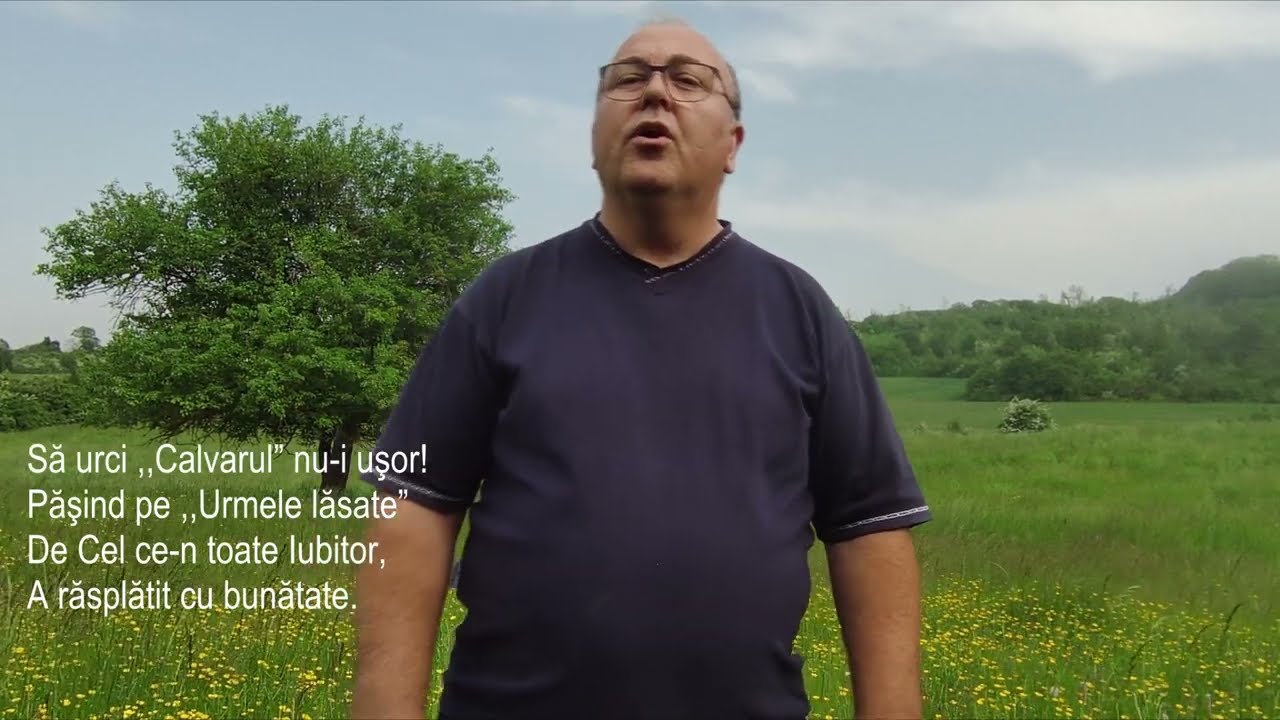 Nelu Tomșa-Nu e ușor când ești lovit.