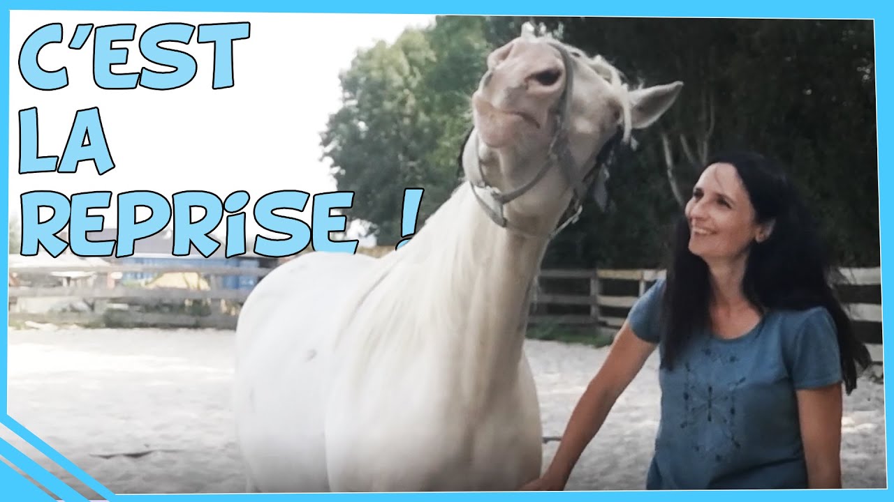 On reprend le travail à pieds avec mon chameau !