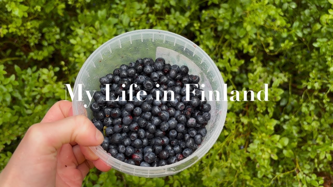 My Life in Finland | Wild blueberry picking, mushroom foraging, baking