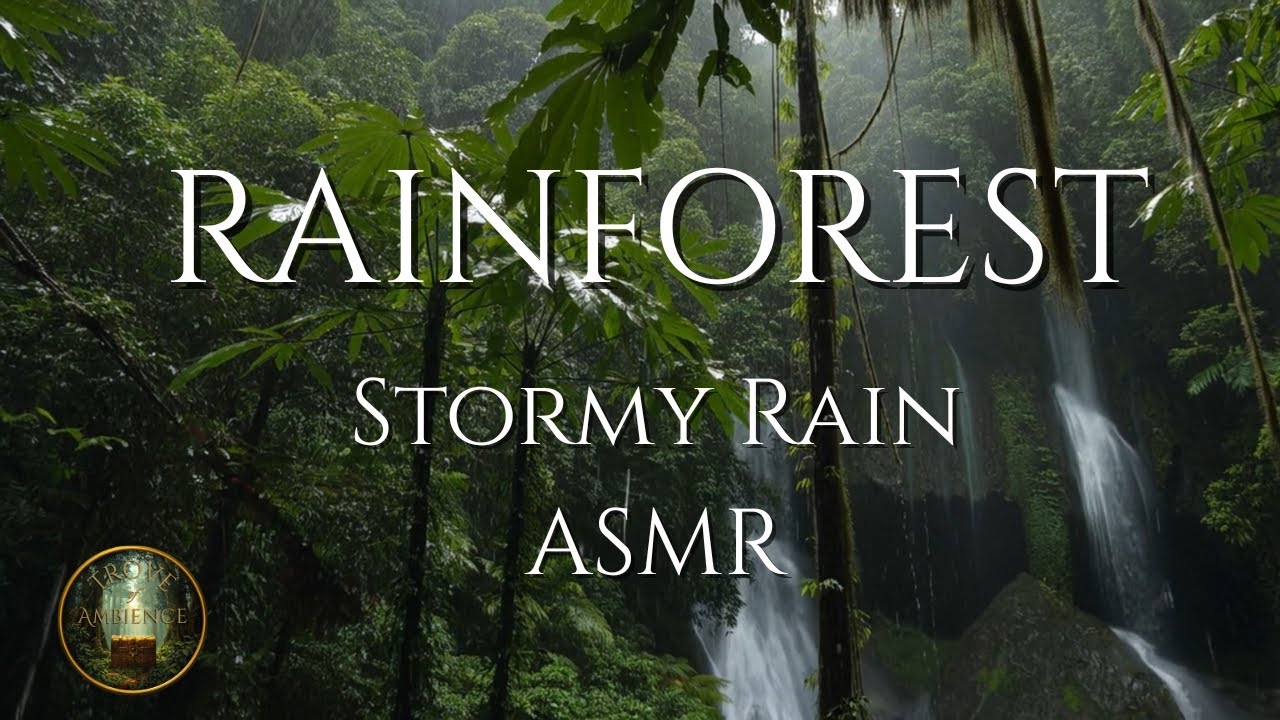 Rainforest Stormy Rain ASMR | Jungle Ambience for Sleep, Focus & Relaxation