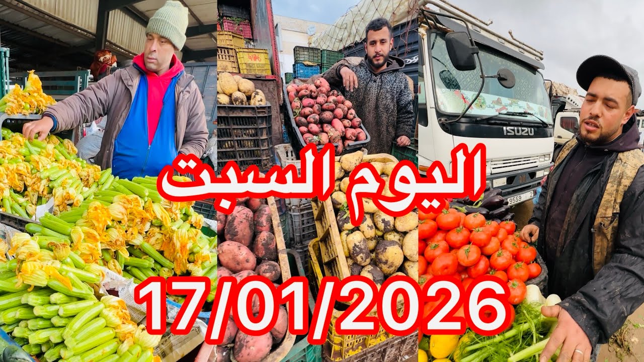 أجواء وأسعار سوق الجملة للخضار والفواكه بالدار البيضاء –17 يناير 2026🧅🥭🫑🍋🍓🍅🌶️🥕🥦🍏