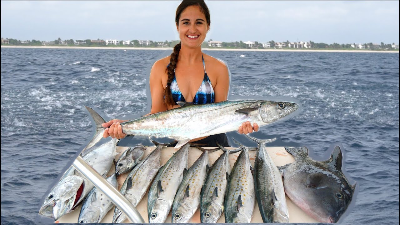INSANE Offshore Fishing!! Tuna Tartare and Fish Salad- Catch and Cook!