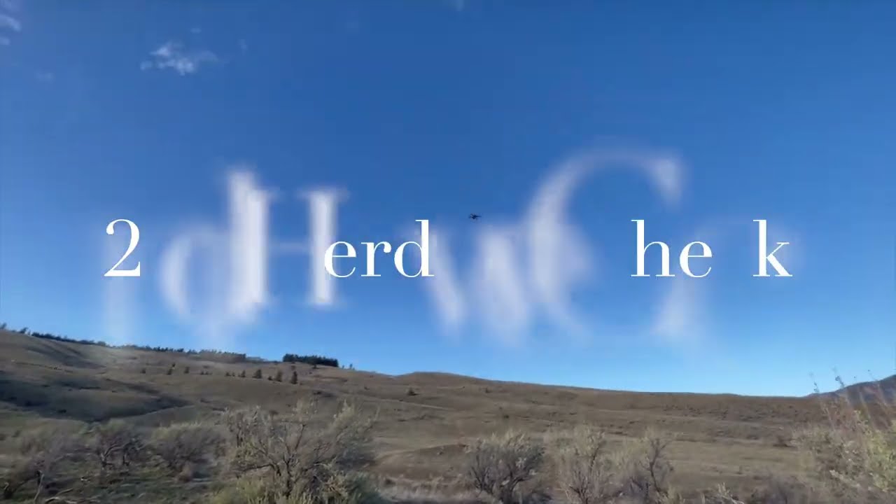 Checking Feral horses with a drone (Ruko F11GIM2)