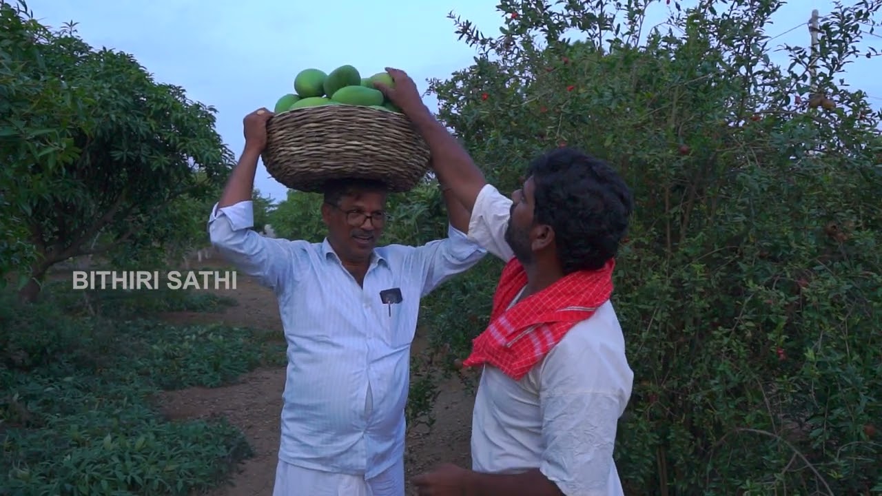మామిడిపండ్లు ఖరాబు …| PENTAIAH ORIGINALS | BITHIRISATHI LATEST | 