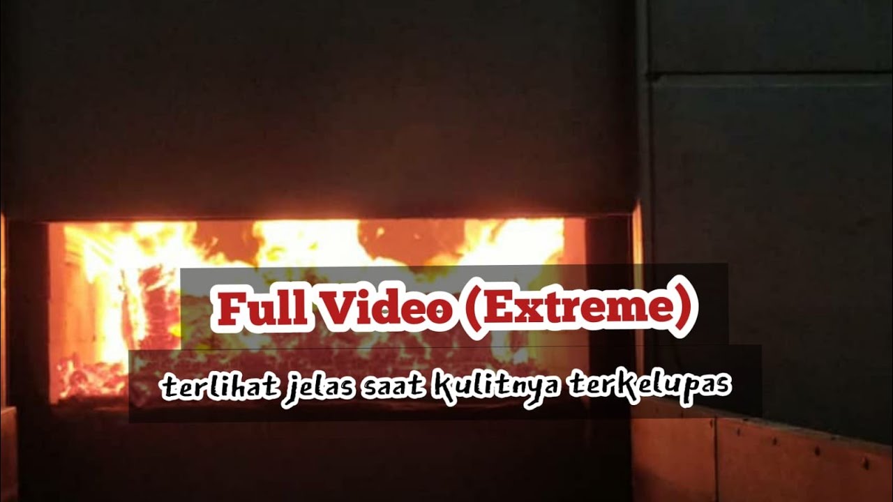 (EXSTREM) FULL VIDEO || TERLIHAT JELAS KETIKA KULIT TER'KELUPAS...!!!
