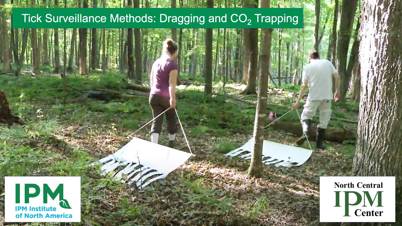 Tick Surveillance Methods: Dragging and CO2 Trapping