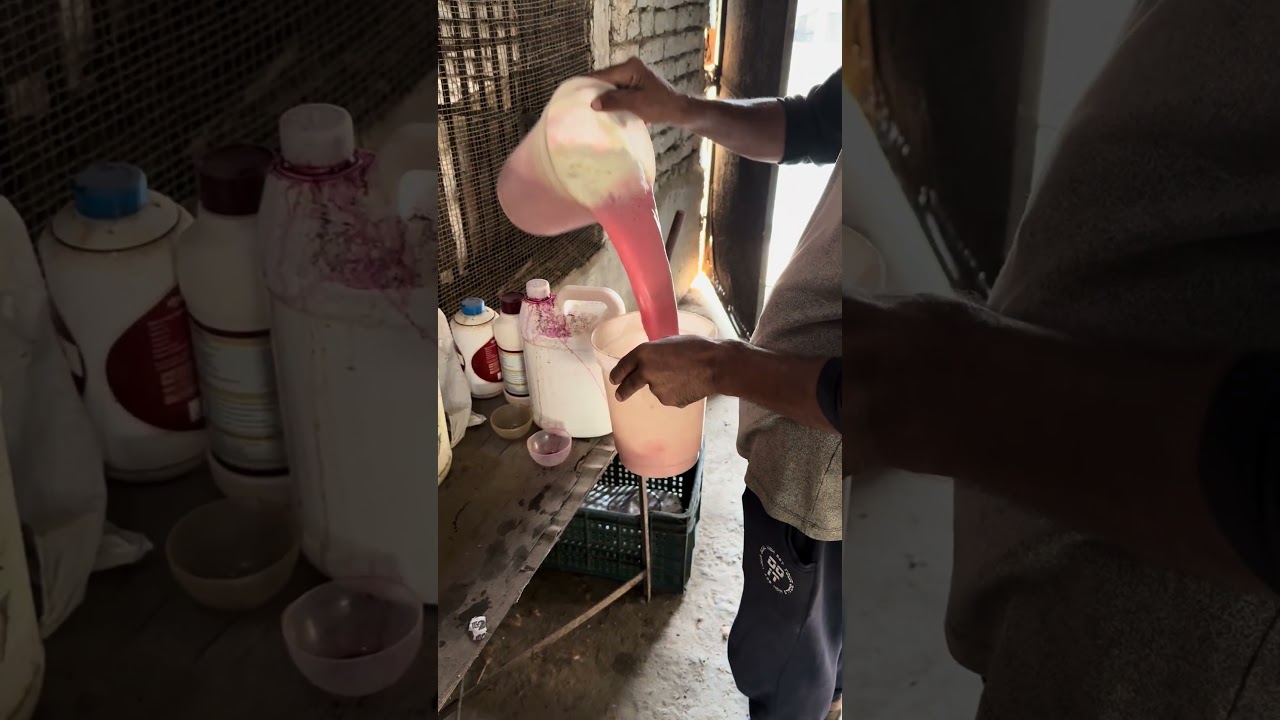 Coryza treatment in poultry | coryza ka ilaj | Coryza in chickens