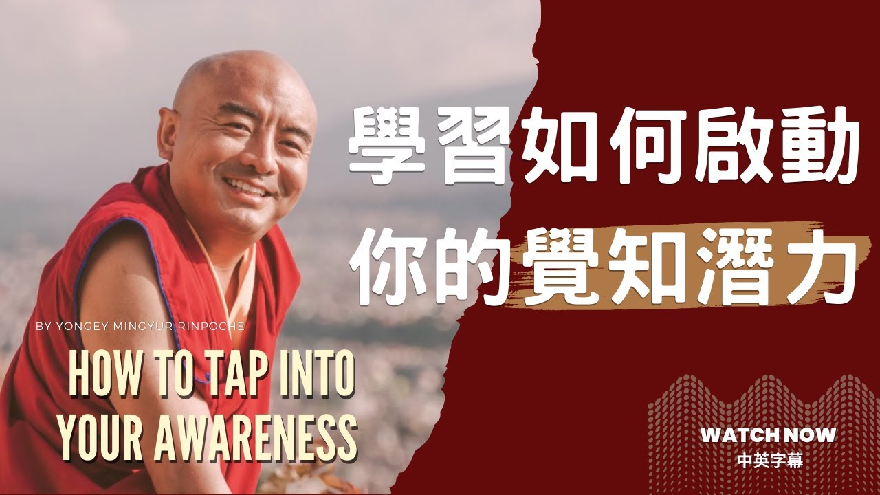 探索你的內在世界！學習如何啟動你的覺知潛力｜明就仁波切 Mingyur Rinpoche