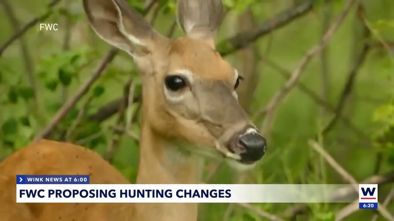 FWC proposing new hunting changes