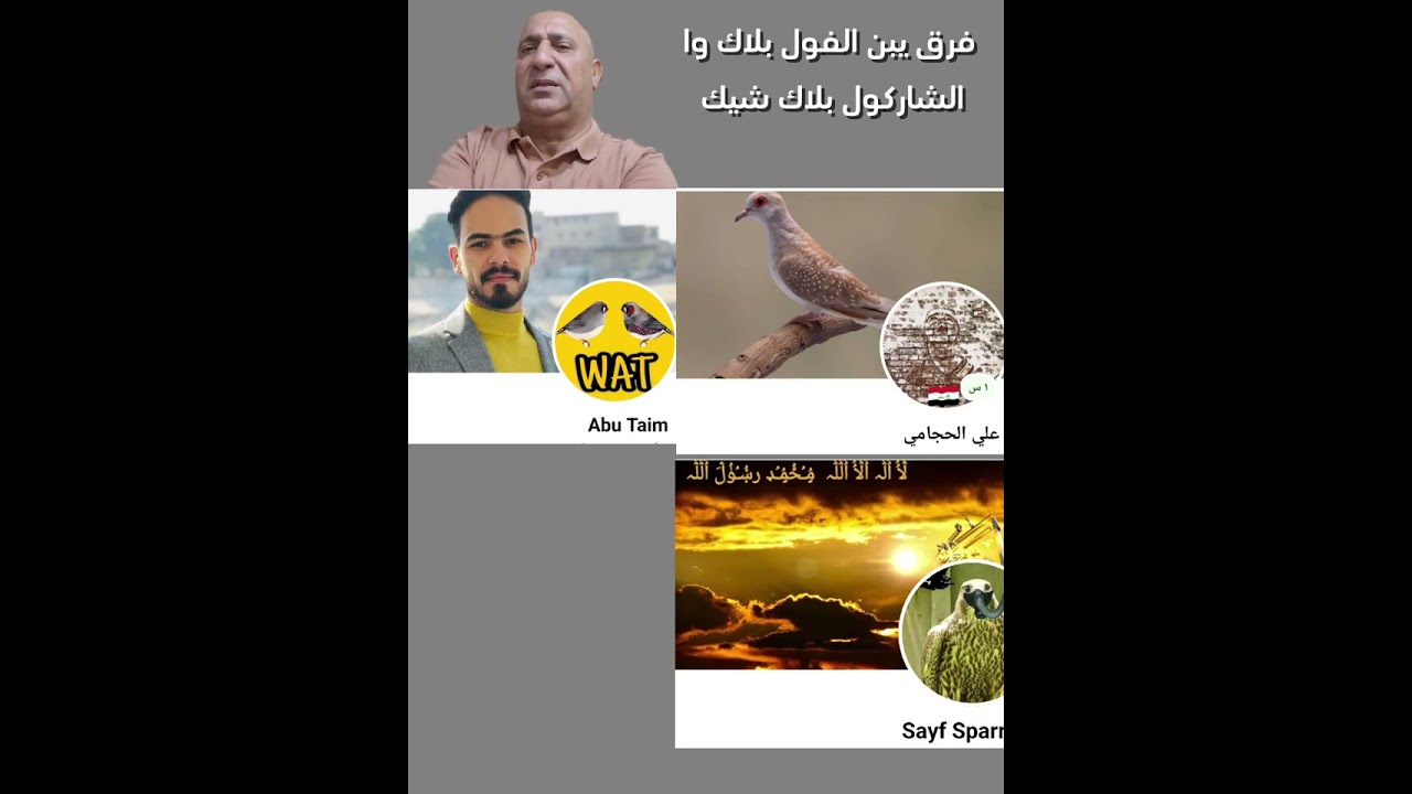 فرق بين تركيبة الفول بلاك  و تركيبة الشاركول بلاك شيك