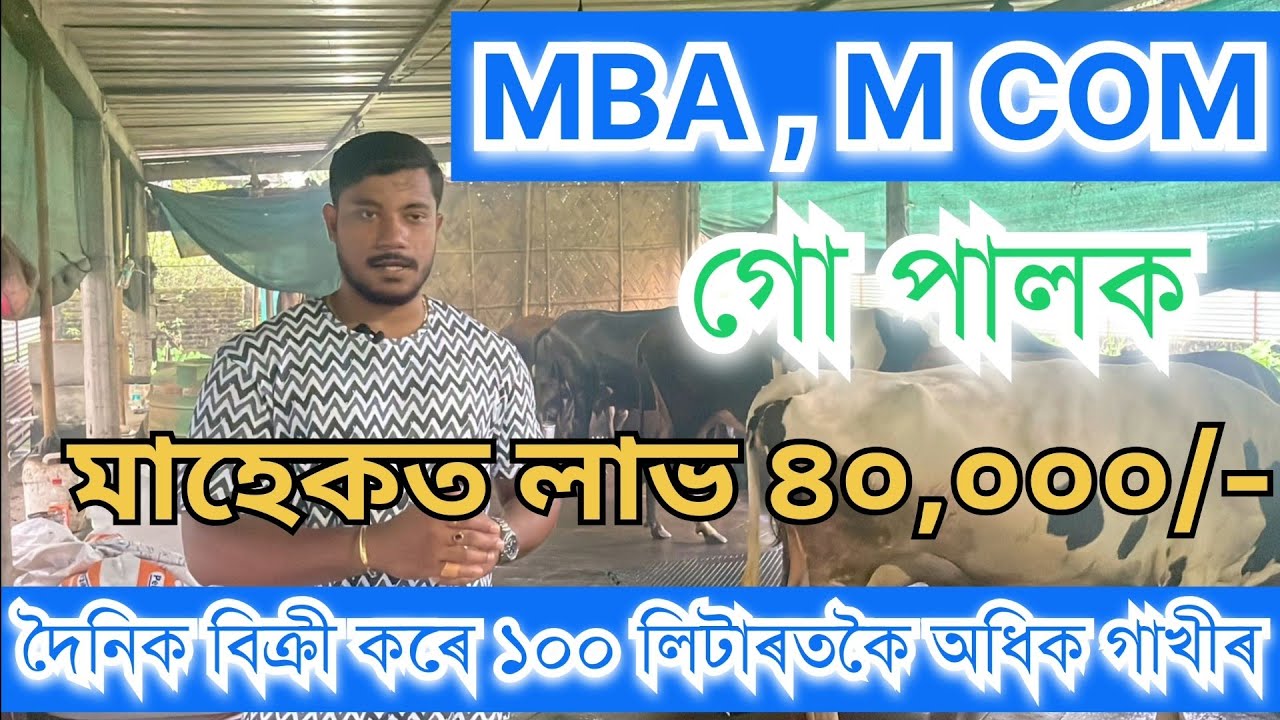 MBA ডিগ্ৰীধাৰী যুৱকে খুলিছে গৰু ফাৰ্ম#Mba farmer#goru#cow#mbachaiwala#uparjan#milk #farmer#dairyfarm