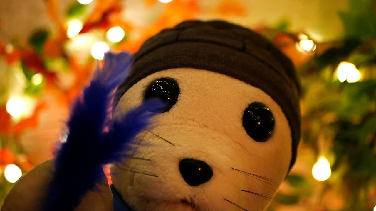 Fluffy Seal Helps You Sleep | ASMR Autumn Personal Attention 🦭🍁
