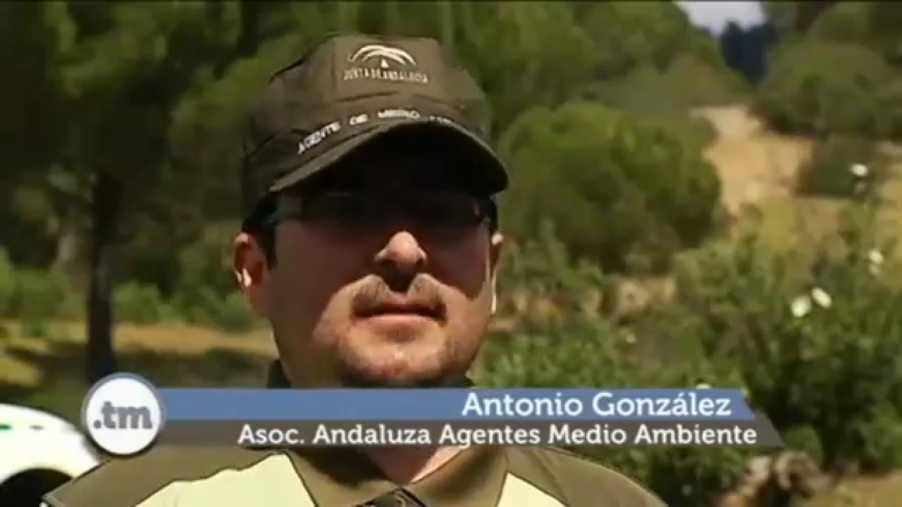 Agentes de Medio Ambiente, un colectivo comprometido con la conservación del medio ambiente