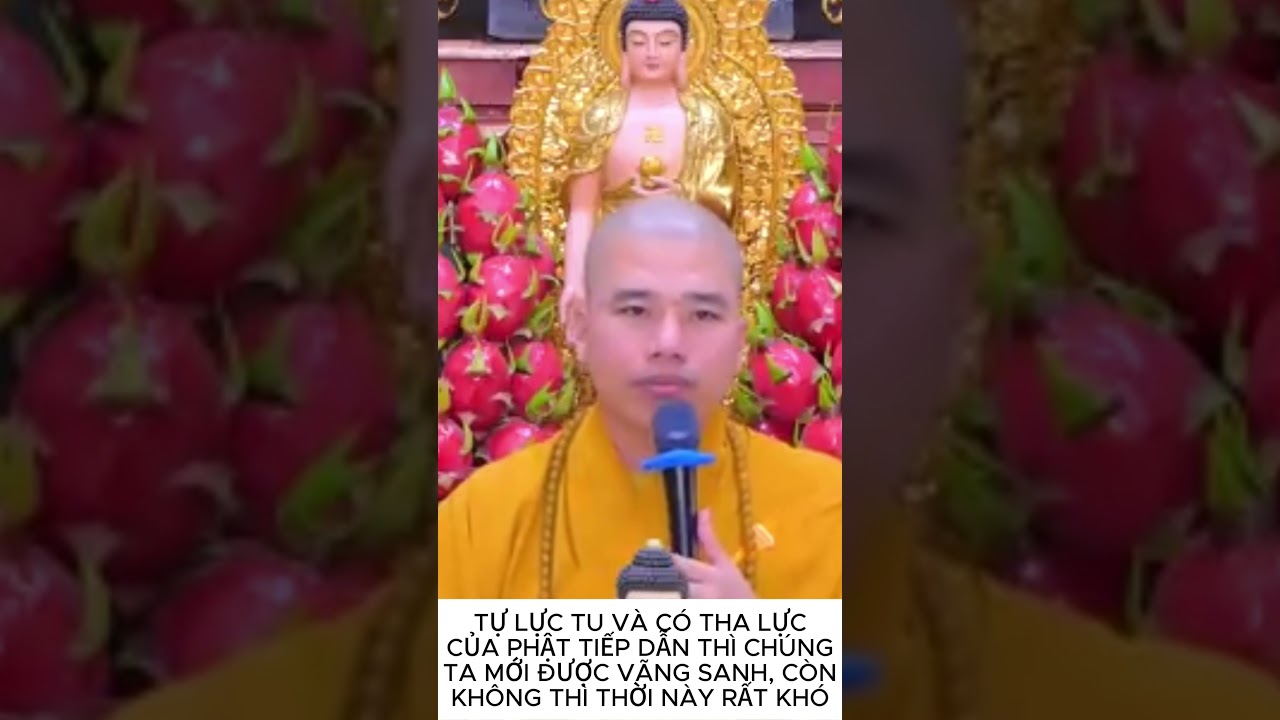 PHẢI C&Oacute; NGUYỆN THIẾT THẬT SỰ | THẦY TH&Iacute;CH NHUẬN ĐỨC  #niemphat #tinhdo #loiphatday