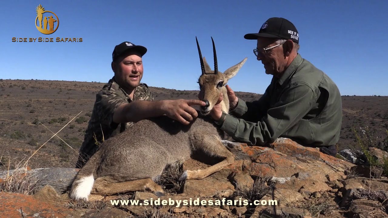 Vaal Rhebok Hunt – Hunting in South Africa – Hunting Vaal Rhebok