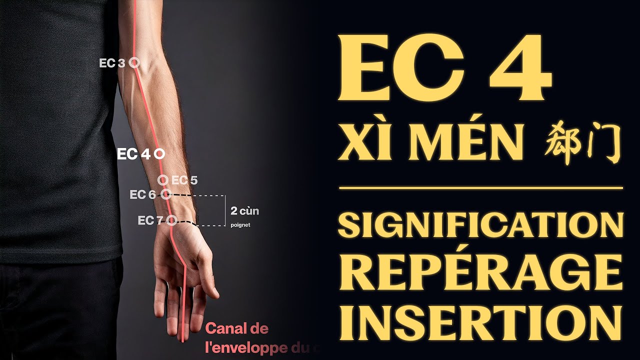Point d’acupuncture : EC 4 (xì mén 郄门) signification, repérage, insertion